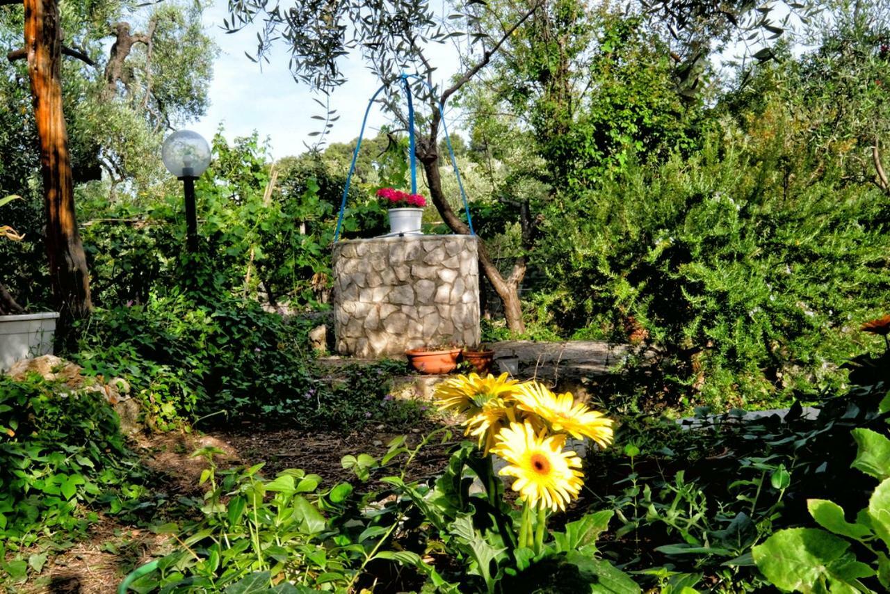 Villa zonauliveto à Vieste Extérieur photo