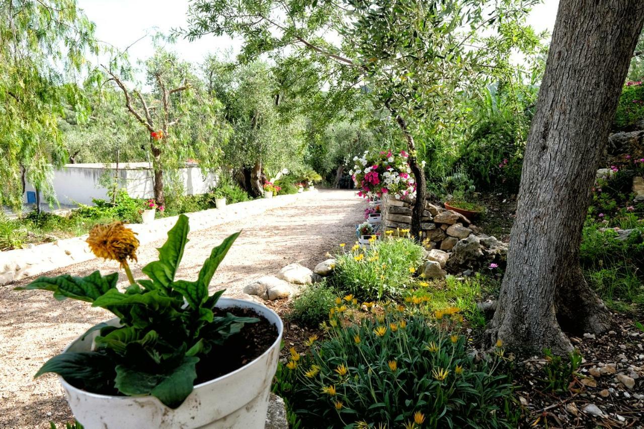 Villa zonauliveto à Vieste Extérieur photo